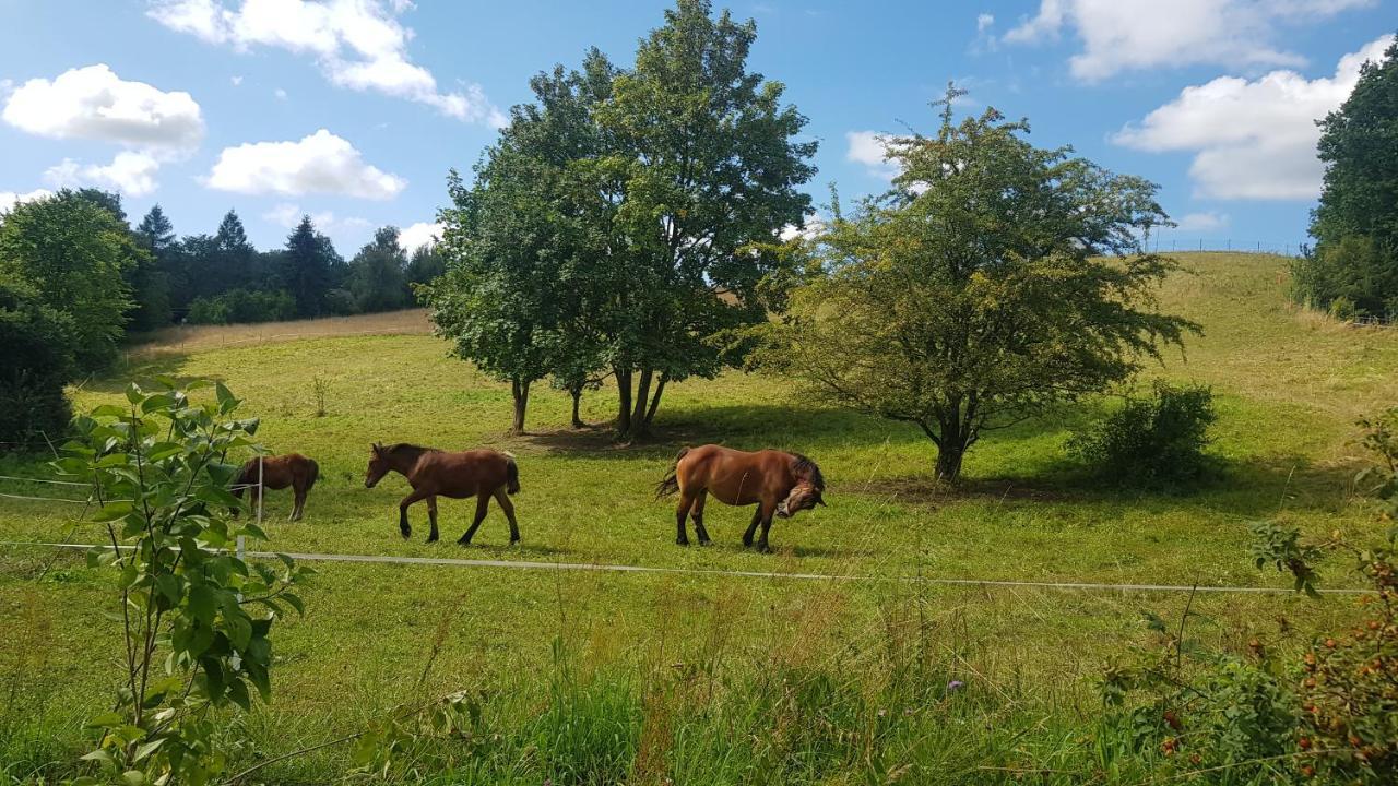 Przystanek Patulskie Pierszczewo Exterior foto